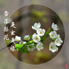 新天地国学网