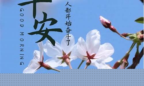 算命大师在线咨询,算卦街算命一条街