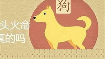 八字算感情,算命感情,易卜居,算感情姻缘