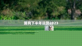 在线测字算卦,八字算感情,易卜居,感情算命