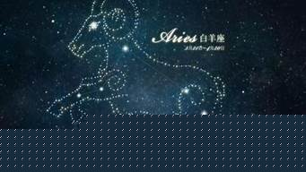 占卜算命,免费算卦