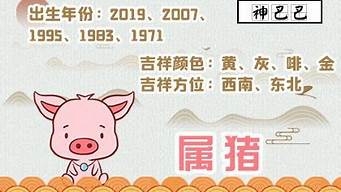 算命占卜,占卜算命