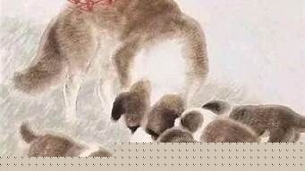 测字算卦,算卦占卜,易经算卦,占卜算卦