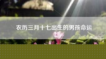 算命最准的网站,在线算命,最准算命网