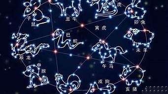 免费算命网