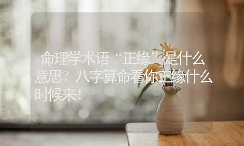 网络算命
