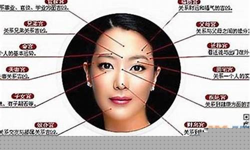 免费算卦