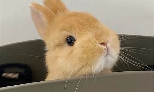 财运测算