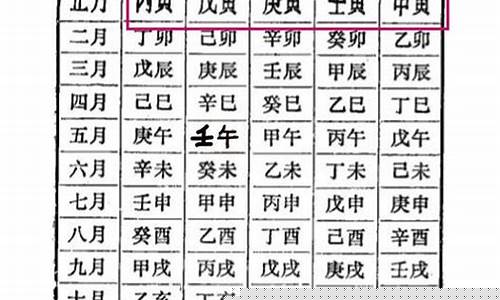 免费算命网