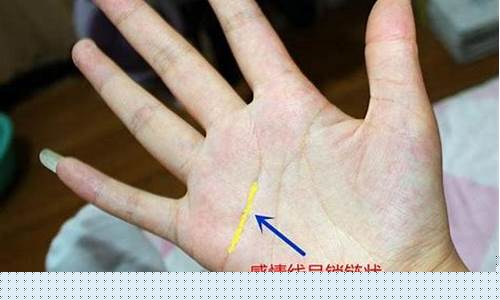  四柱算命的网站