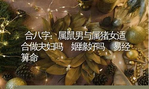 算卦街算卦一条街占卜算命