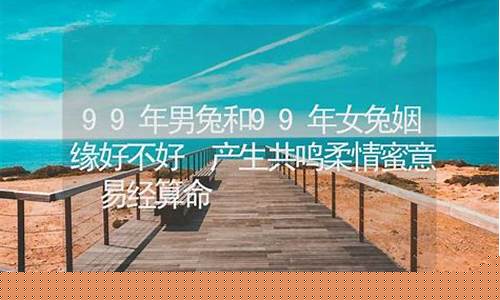 网页算卦