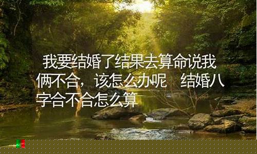 哪个网站算命算的最准