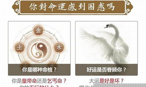 求在线算命最准的网站