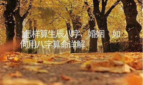 最好的命理网站排名