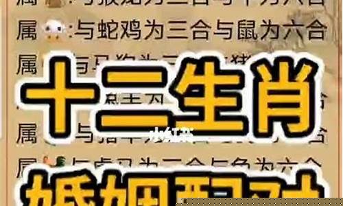网络算卦大师求推荐