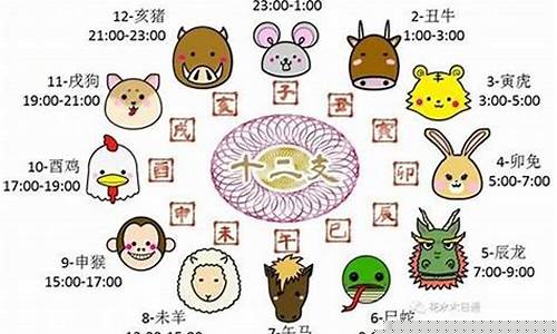 网上算卦项目有哪些可靠的软件推荐