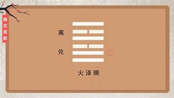 什么网算命准的网站