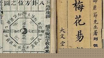 哪个网站算命准