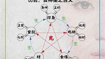 哪个网站算命比较准
