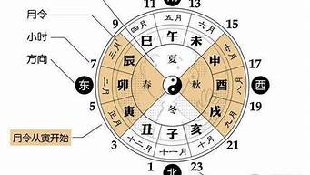 算卦网2025年的运势