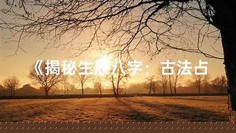 财运风水放这些