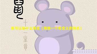 属猴人今日财运占卜