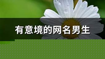 测字算卦三个字