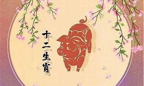 最好的八字命理网站是哪个