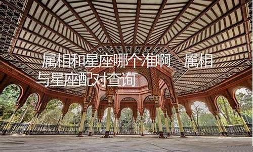 网上算卦有什么软件下载