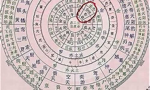 那个网站算卦最准