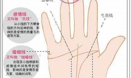 哪个网络平台可以算命