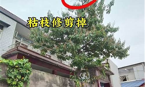 什么算命网站算得准