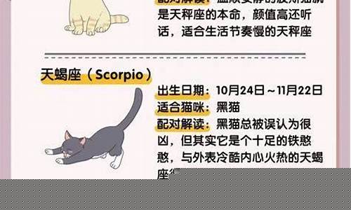 算卦的网址