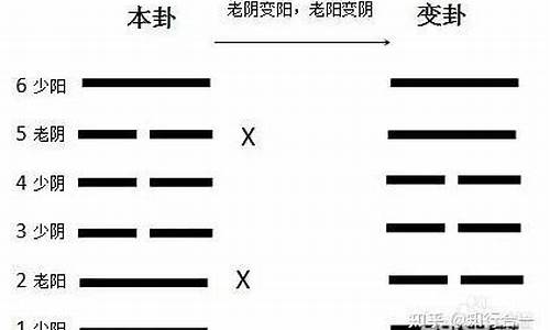 算命最准的网站是