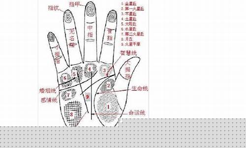 网络看卦算命软件有哪些