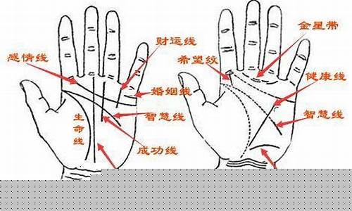 特准的算命网站有哪些好