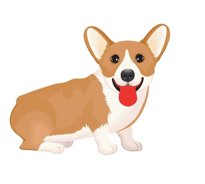 狗1.png