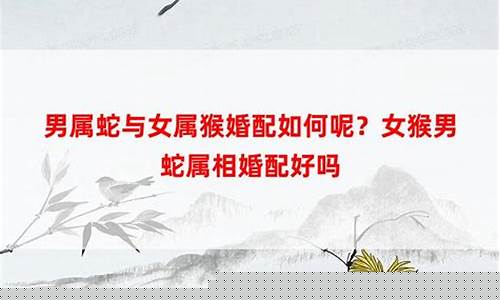 算命网