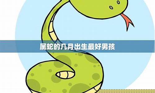 百度算命