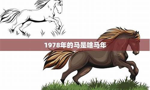 算卦网站