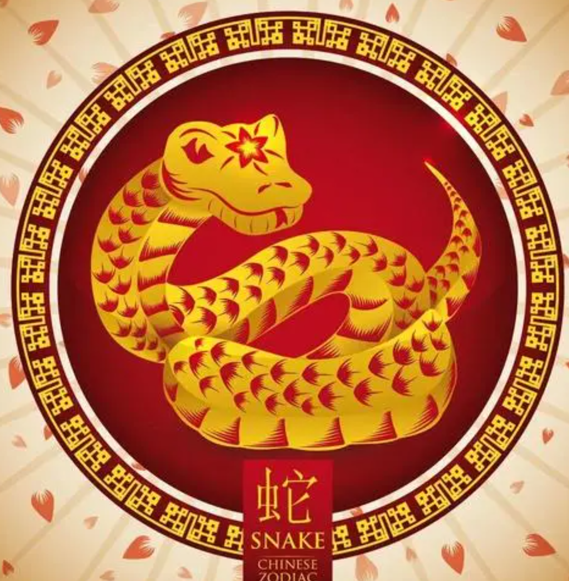 QQ截图20240411092033.png