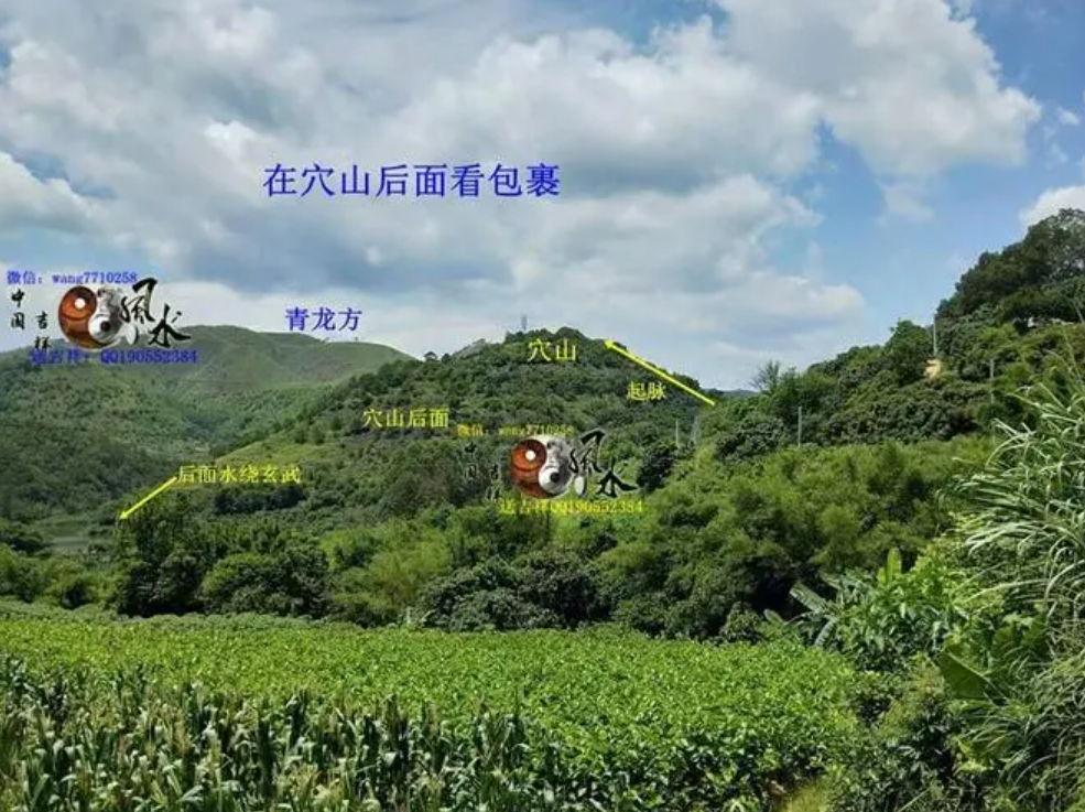 QQ截图20240413080635.png