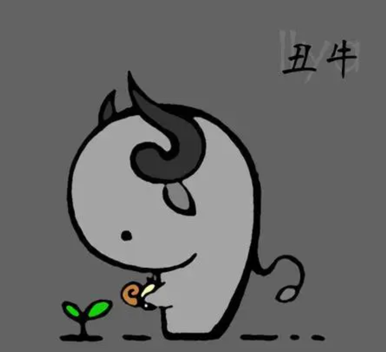 财运预测