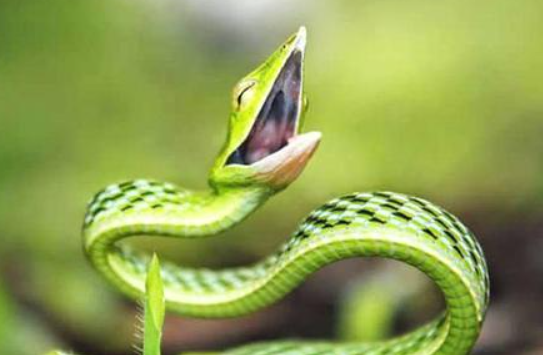 算卦财运