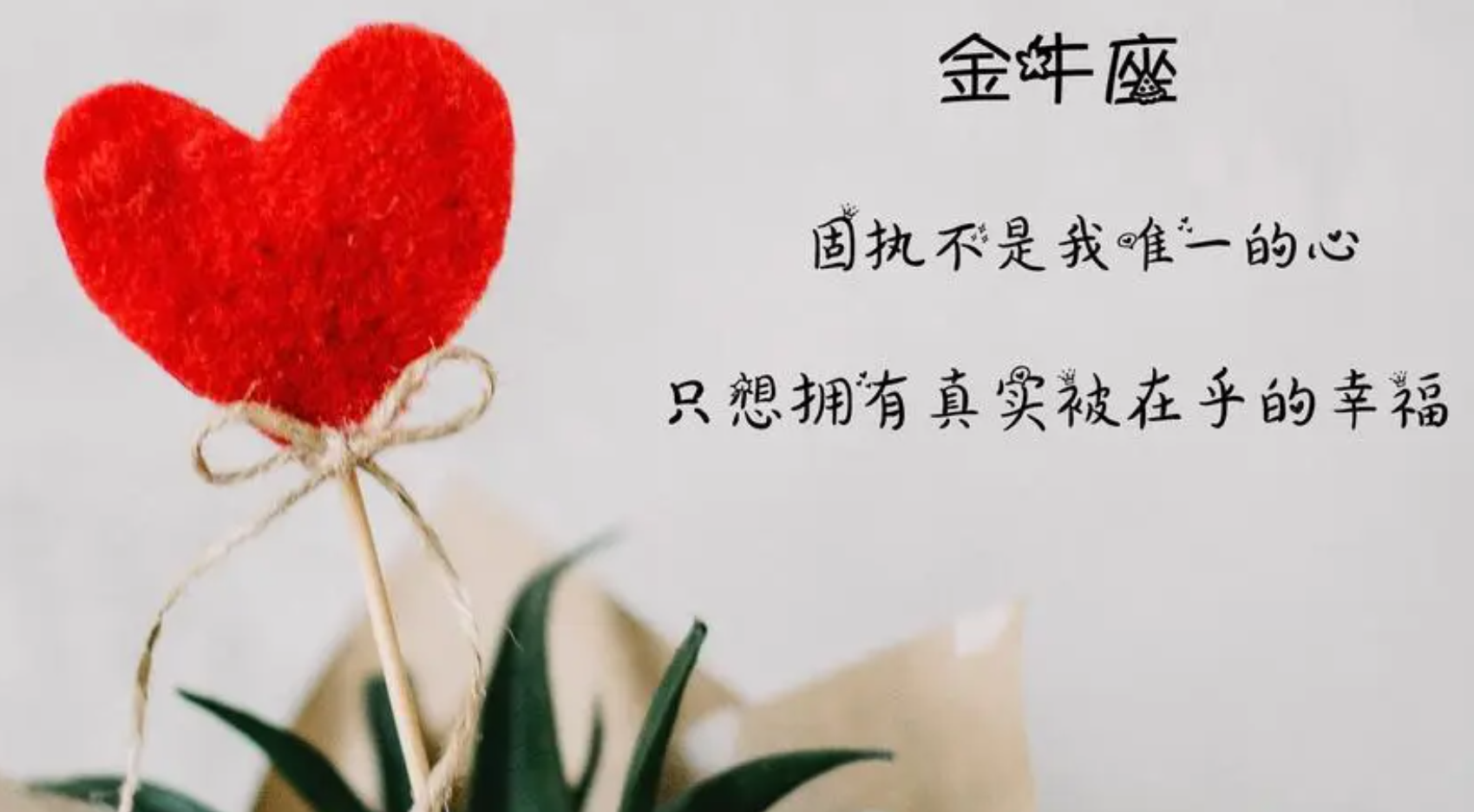 每日财运