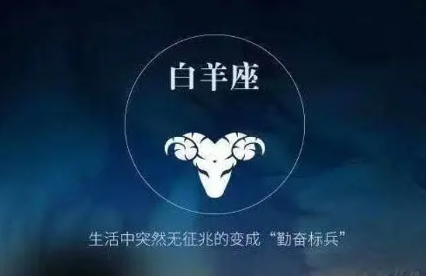 网上算卦