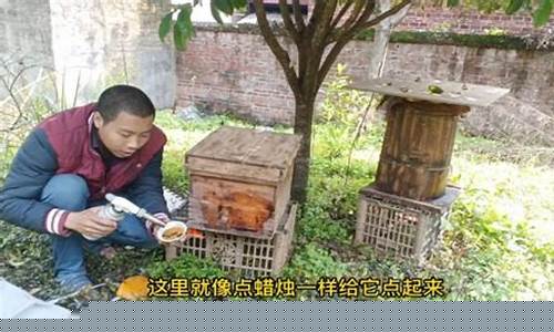 最好的命理网站排名