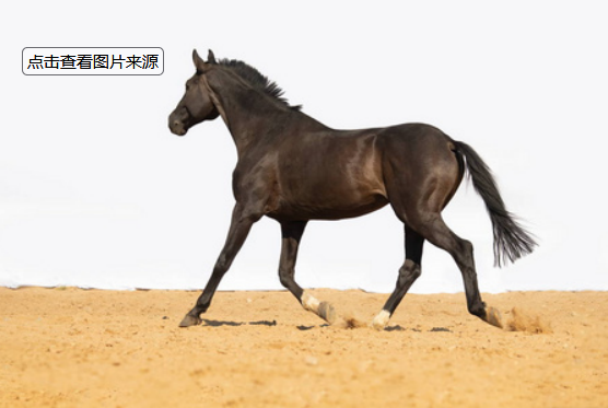 算命最准的网站2025排行榜