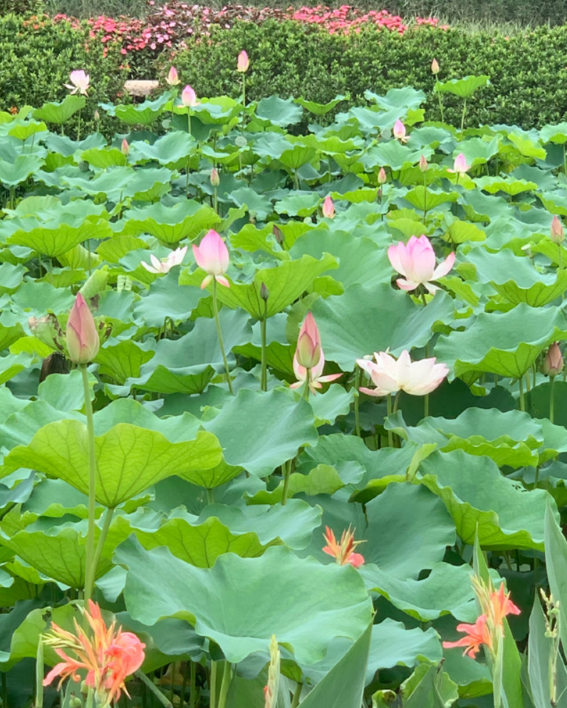 姓名测财运